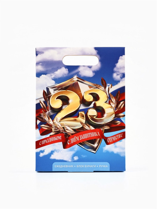 Подарочный набор, ежедневник А5, 80 л, блок бумаги, ручка «С 23 февраля. Небо»