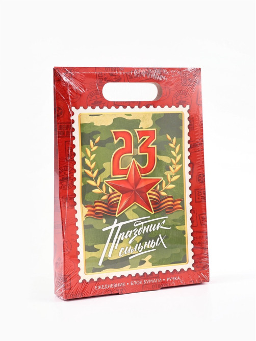 Подарочный набор, ежедневник А5, 80 л, блок бумаги, ручка «С 23 февраля»