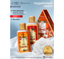 Подарочный набор новогодний: гель для душа 2 шт. × 100 мл, мочалка для тела, аромат мандарин и тыква, URAL LAB