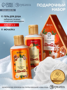 Подарочный набор новогодний: гель для душа 2 шт. × 100 мл, мочалка для тела, аромат мандарин и тыква, URAL LAB