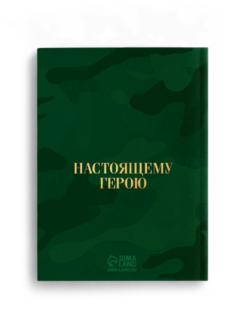 Подарочный набор «С днём защитника отечества. 23 февраля», ежедневник А6, блок с липким слоем, ручка