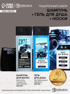 Подарочный набор «Самый крутой», шампунь для волос 250 мл, гель для душа 250 мл и мужские носки, Чистое счастье