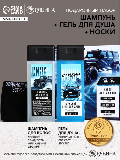 Подарочный набор «Самый крутой», шампунь для волос 250 мл, гель для душа 250 мл и мужские носки, Чистое счастье