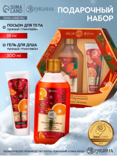 Подарочный набор новогодний «Заветное желание», гель для душа 300 мл и лосьон для тела 85 мл, URAL LAB