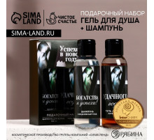 Подарочный набор новогодний мужской «Успехов в году»: гель для душа и шампунь для волос, 2×100 мл, Чистое счастье