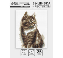 Вышивка крестиком «Домашний кот», набор для творчества, 21×30 см