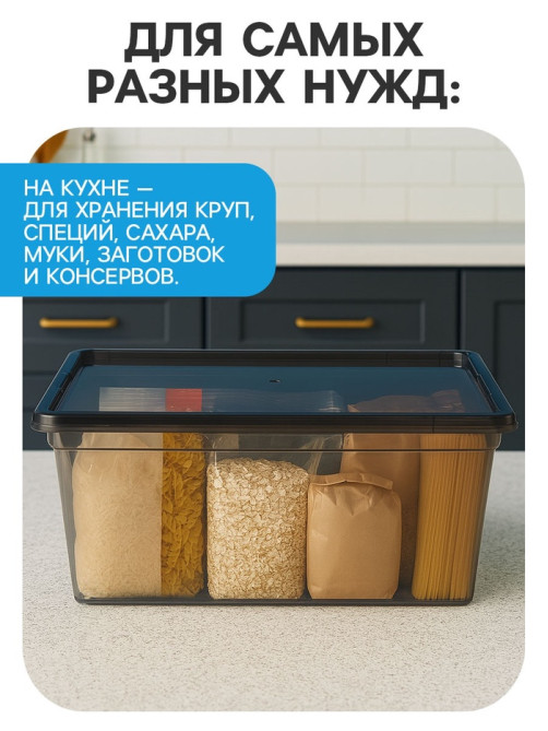 Ящик пластиковый для хранения, с крышкой, объём — 16 л, прозрачно-чёрный