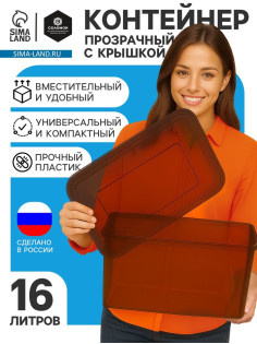 Ящик пластиковый для хранения, с крышкой, объём — 16 л, прозрачно-чёрный