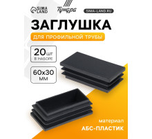 Заглушка для профильной трубы ТУНДРА, 60×30 мм, набор 20 шт.