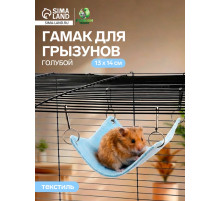 Гамак для грызунов, 13×14 см, маленький, голубой